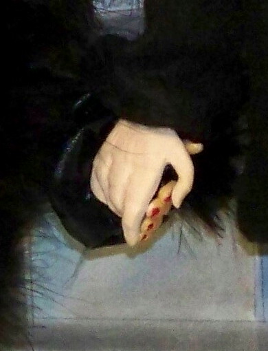 Pattinson/ Twigs hands