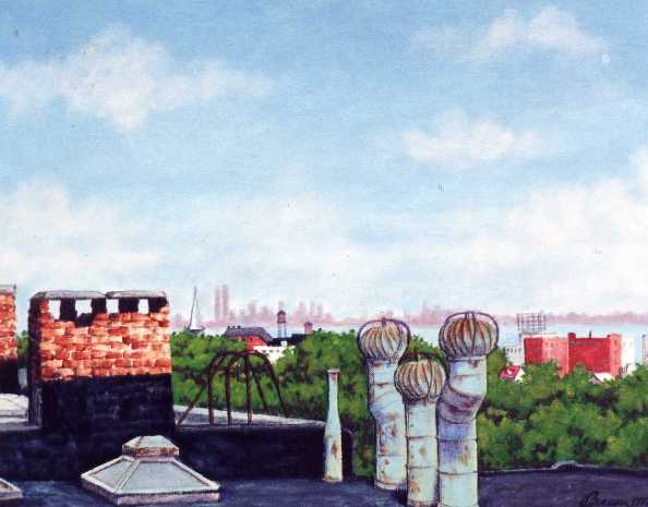 Tompkinsville rooftops Staten Island